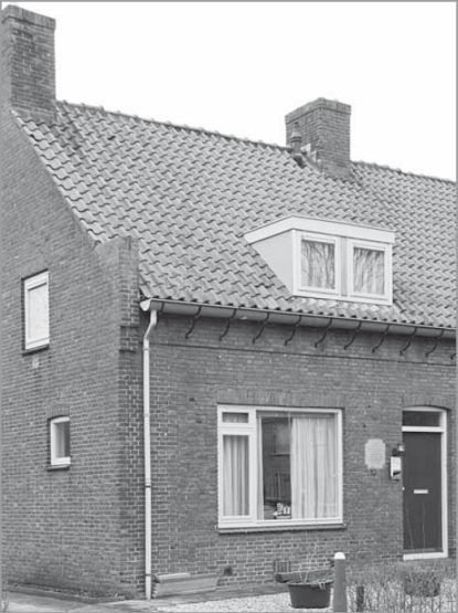 F311-25