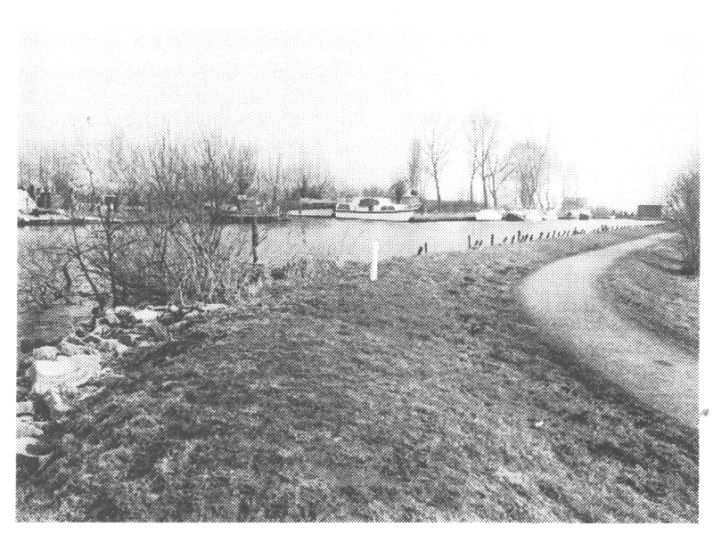 B419a