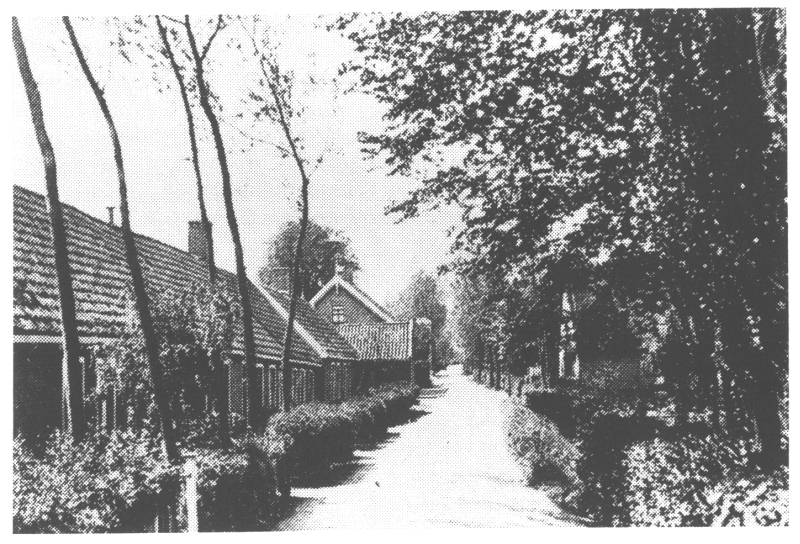 B303c