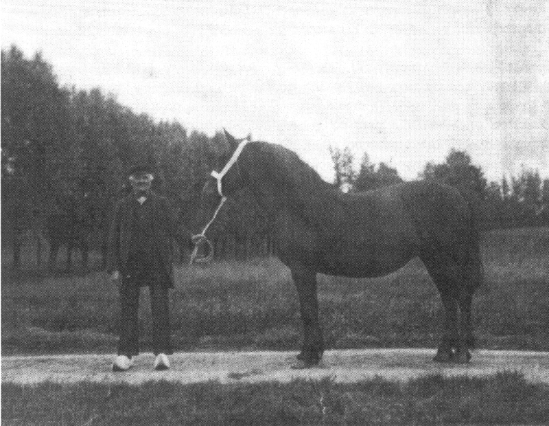 B116b