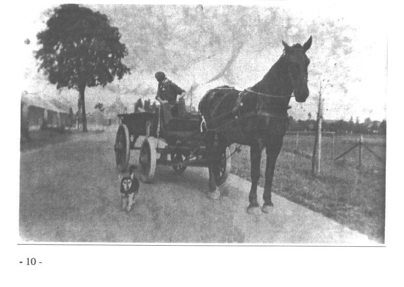B310b